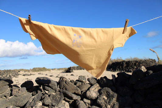 PARTY WAVE Women's Boxy T-Shirt Nispero